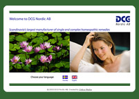 www.dcg.se